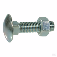 Vis tête bombée collet carré M16x160