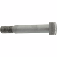 Vis -10.9 Berti VTQ27M18/3921