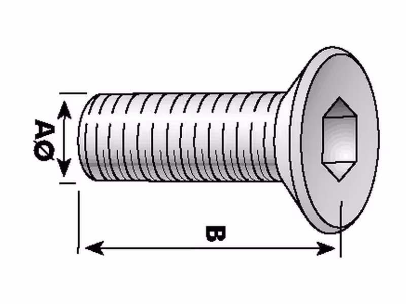 Vis tête fraisée six pans creux, M6x25mm (DIN 7991) - Vendu par 20