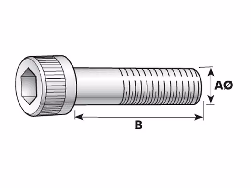 Vis tête six pans creux, M6x40mm (DIN 912) - Vendu par 25
