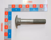 Vis Trcc M14 X 80 Geo (Din603-4.8) 0933111091 