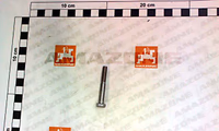 VIS VIS 6 X 45 A2-70 - AMAZONE - REF DB493