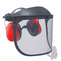 VISIERE DE PROTECTION