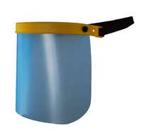 VISIERE DE PROTECTION