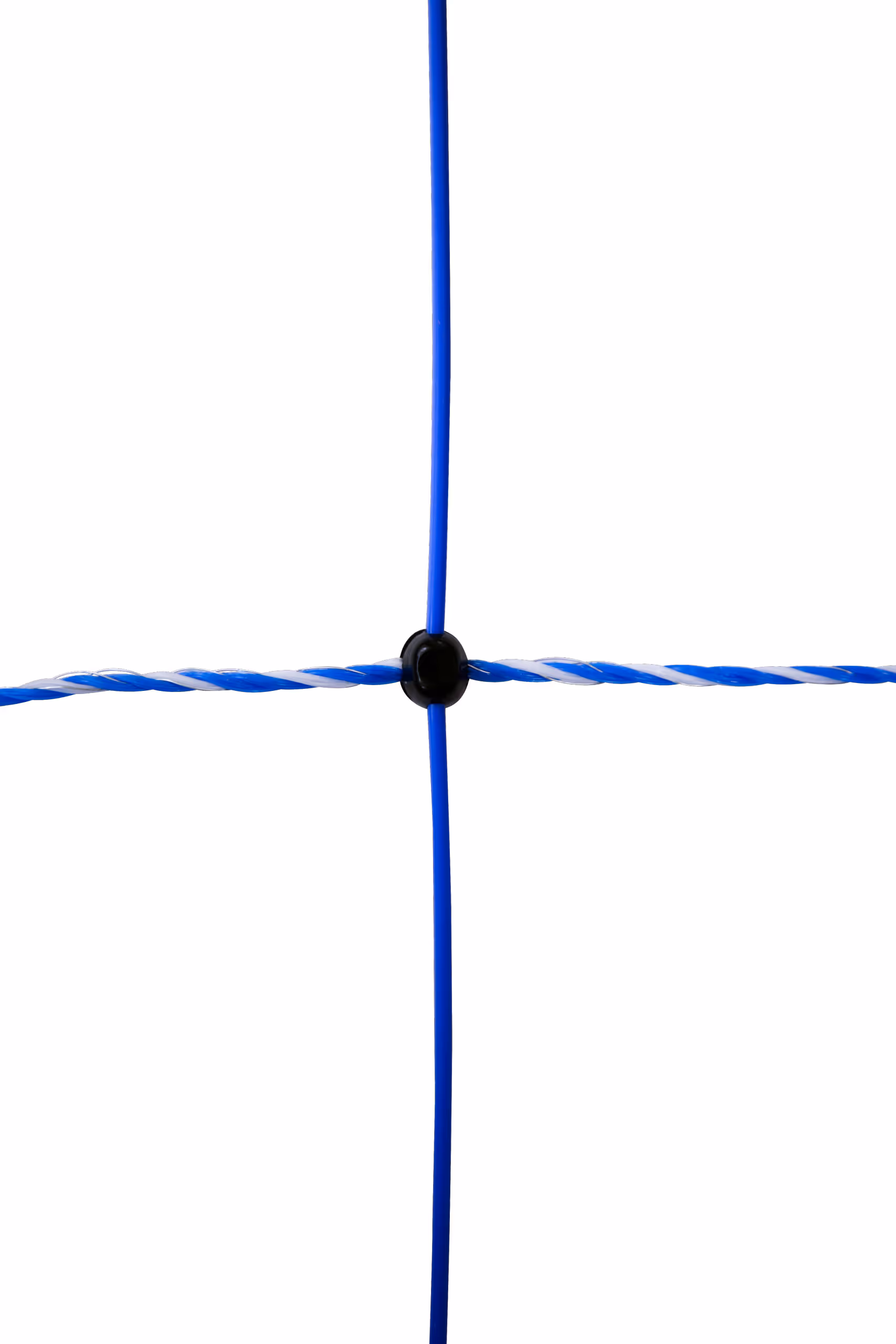 WolfNet 141 cm 50 m bleu/blanc Simple pointe