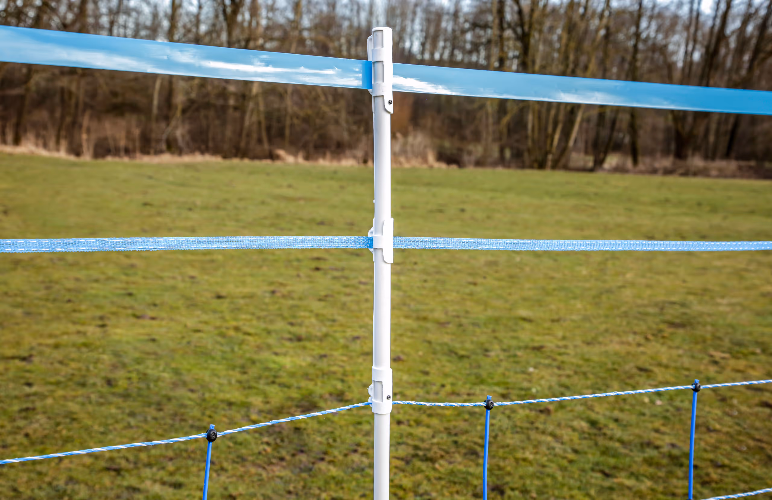 WolfNet 141 cm 50 m bleu/blanc Simple pointe