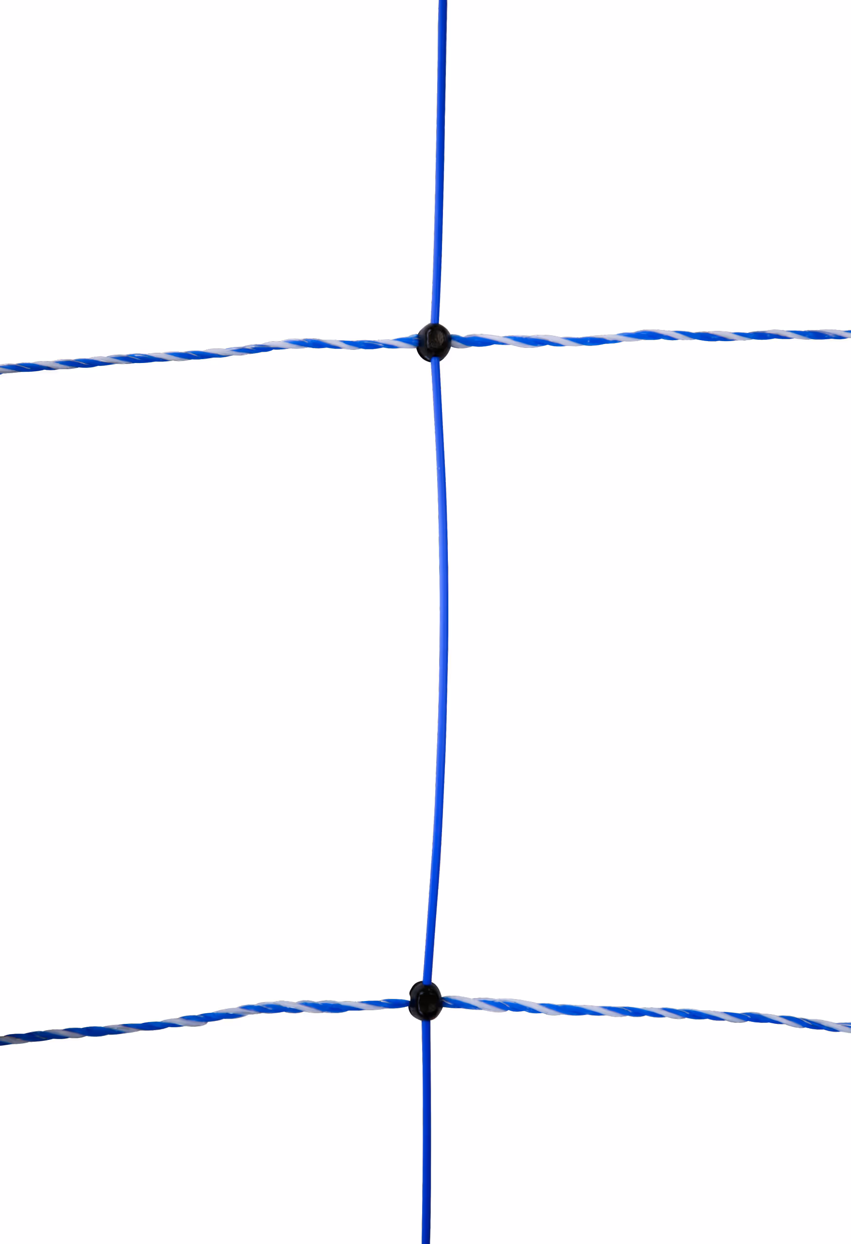 WolfNet 141 cm 50 m bleu/blanc Simple pointe