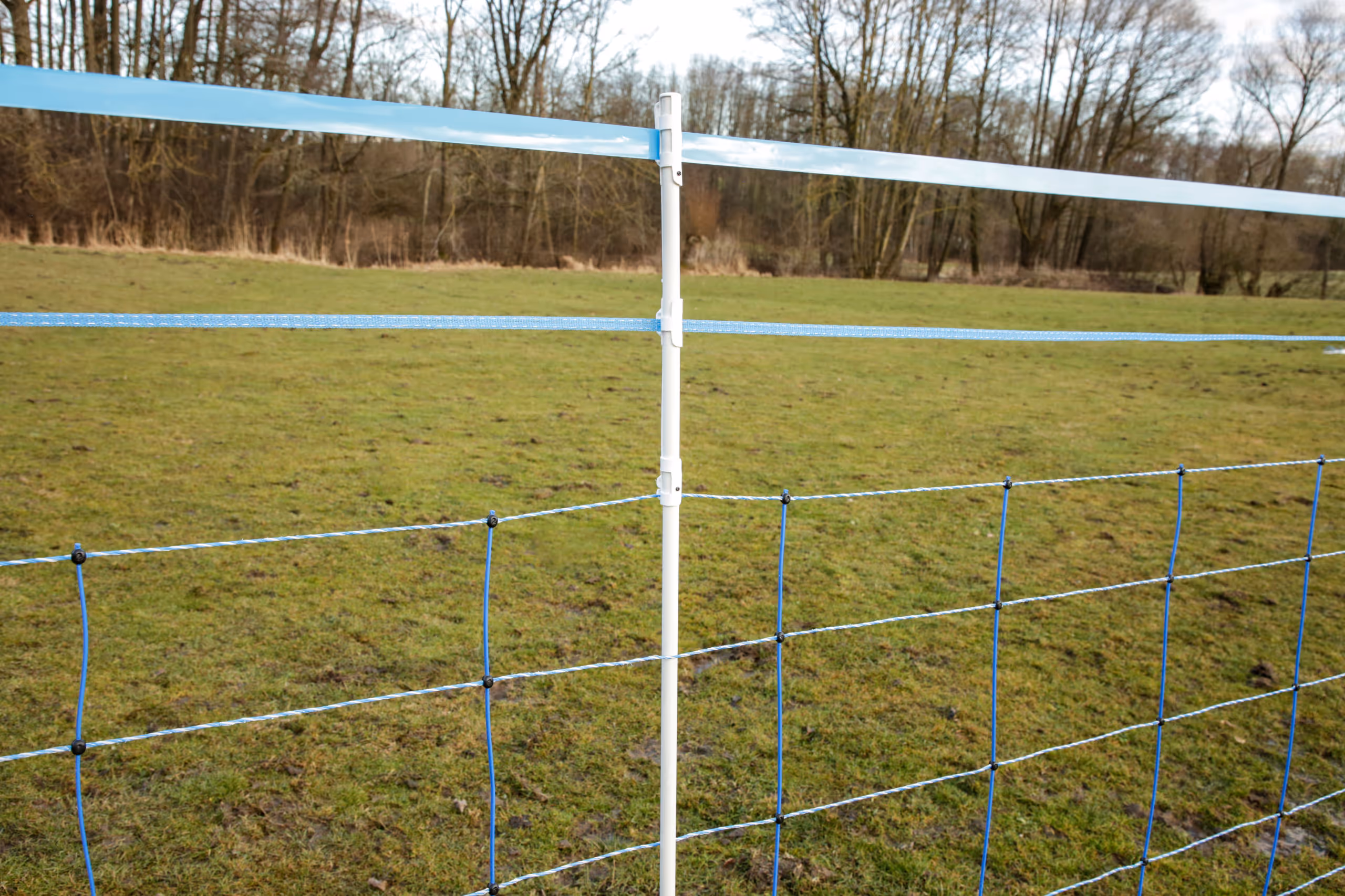 WolfNet 141 cm 50 m bleu/blanc Simple pointe