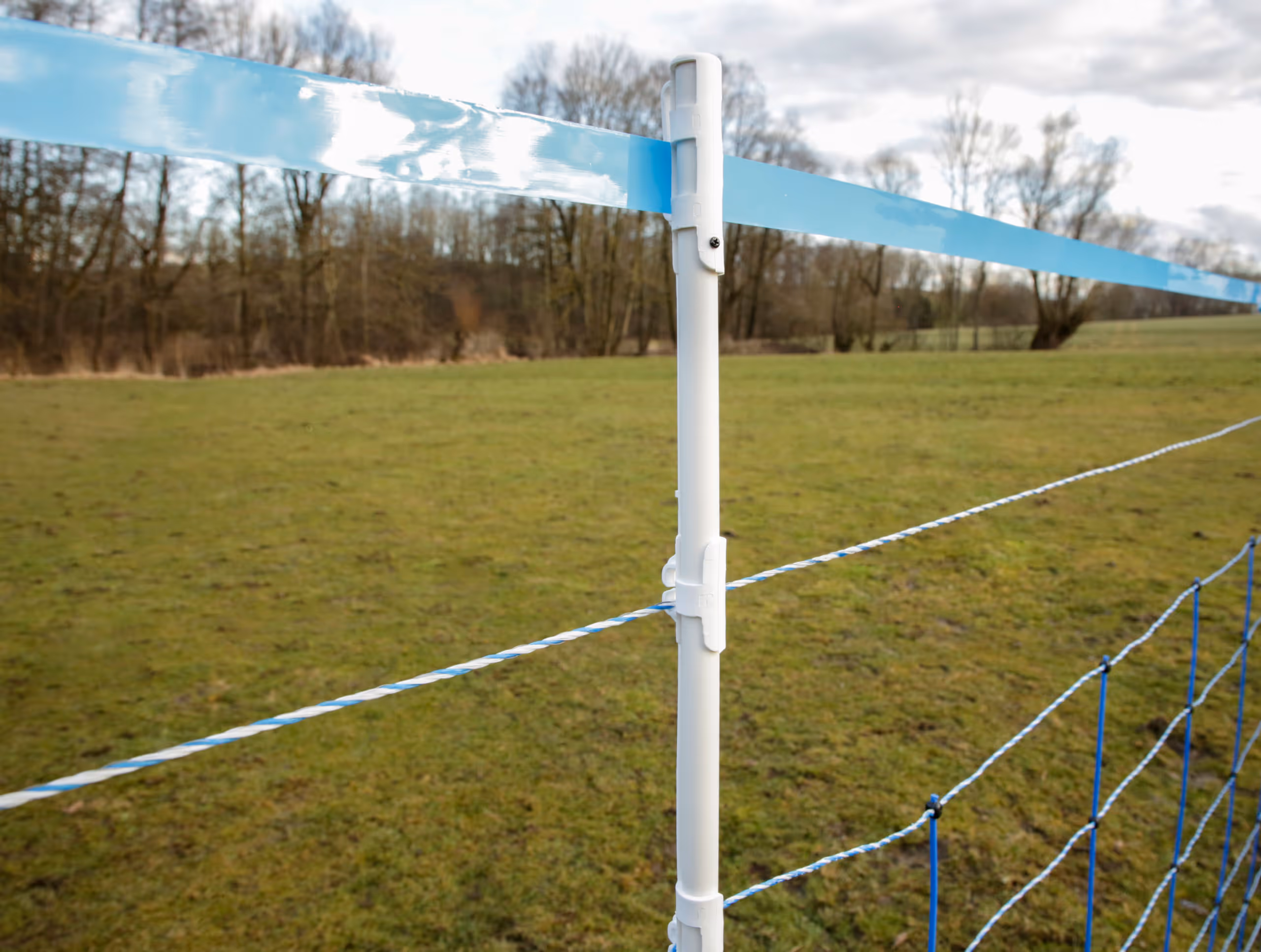 WolfNet 141 cm 50 m bleu/blanc Simple pointe