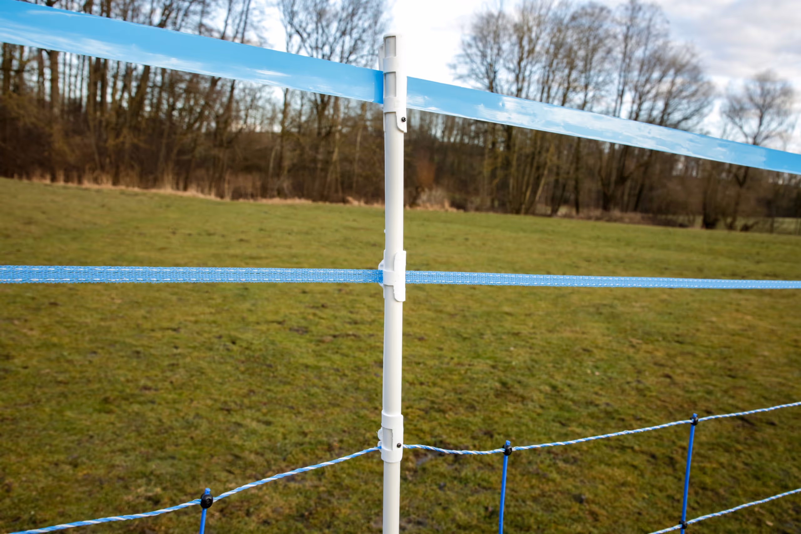 WolfNet 141 cm 50 m bleu/blanc Simple pointe