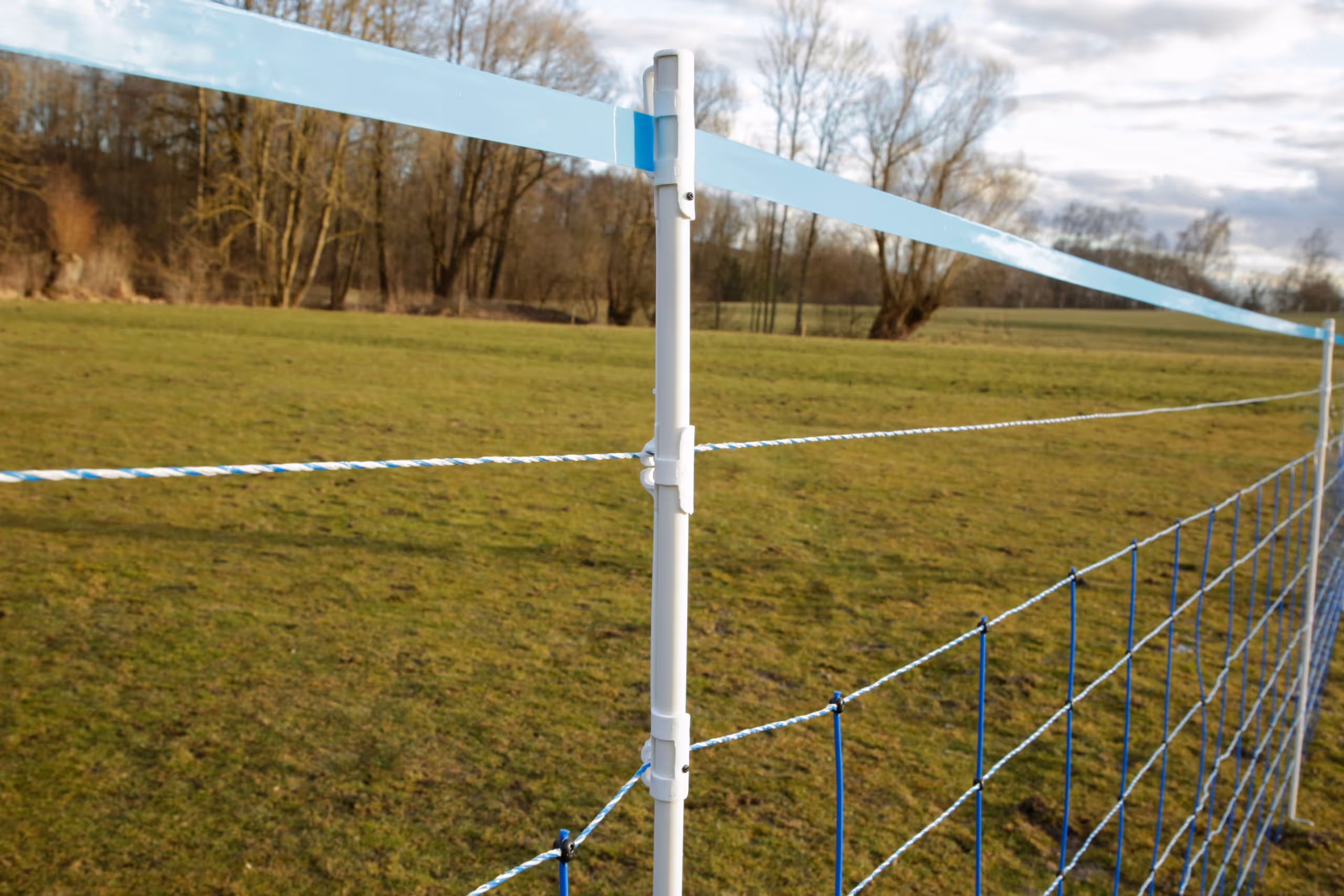 WolfNet 141 cm 50 m bleu/blanc Simple pointe