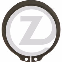 ZF Circlips