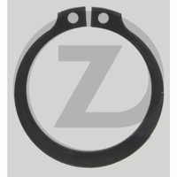 ZF Circlips