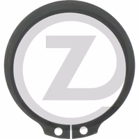 ZF Circlips
